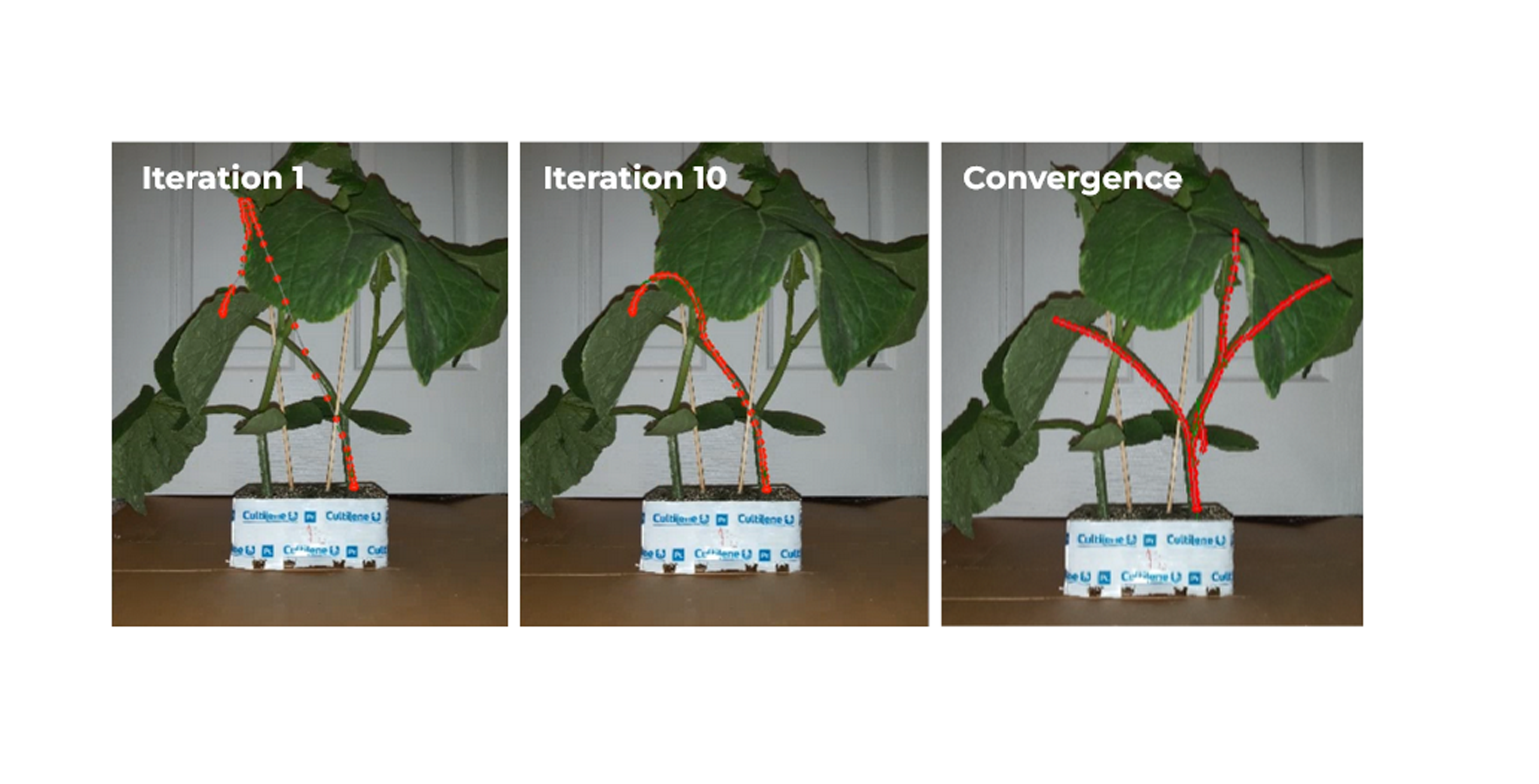 Perception Stack for an Agrobot